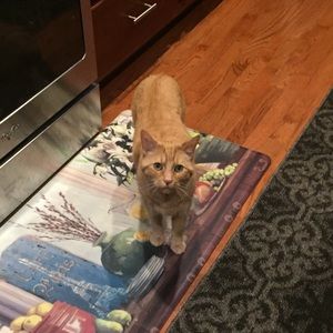 Meet your Posher, Sonia